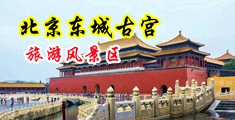 一级黄片俱乐部里大鸡吧老外操我中国北京-东城古宫旅游风景区
